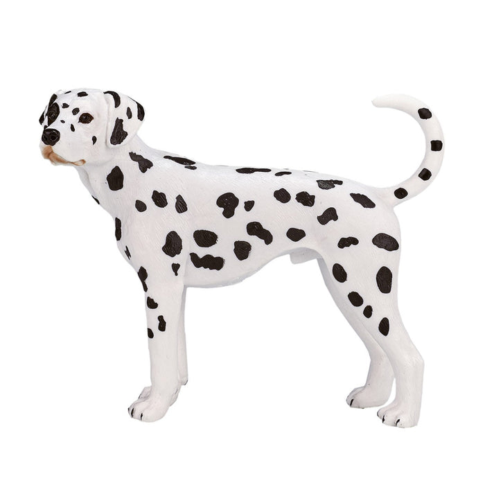 Mojo Dalmatian koira