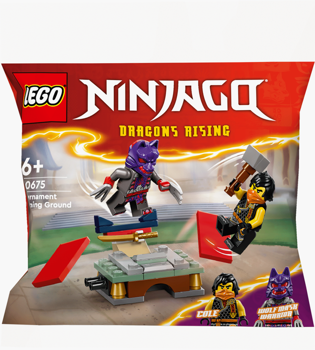 Lego 30675 Ninjago Dragon's Rising