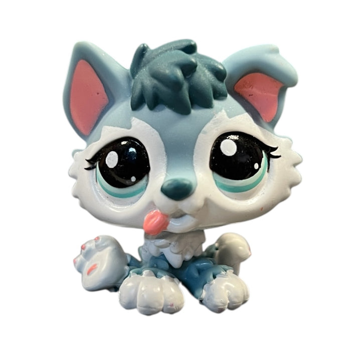 Littlest Petshop Husky pentu #2036