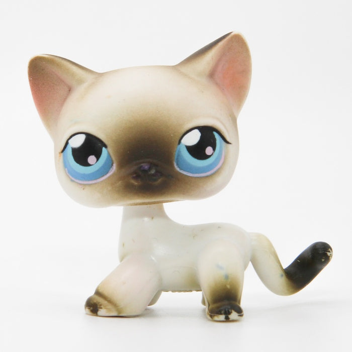 Littlest Petshop Siamilainen Kissa #5