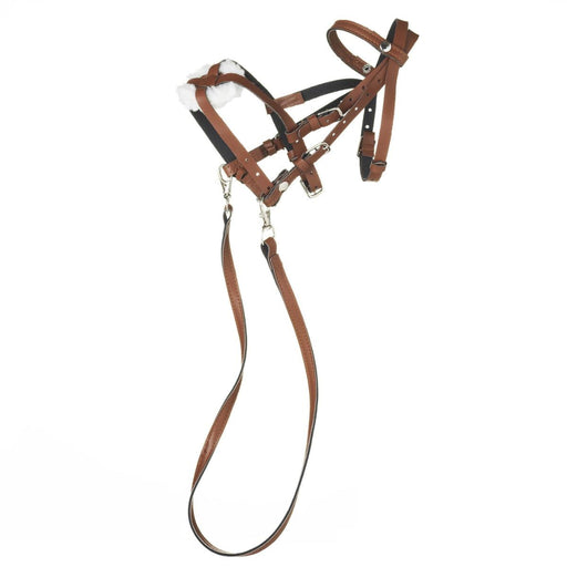 Keppihevosen suitset - ruskeat