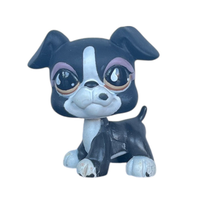 Littlest Petshop Bokseri koira #826