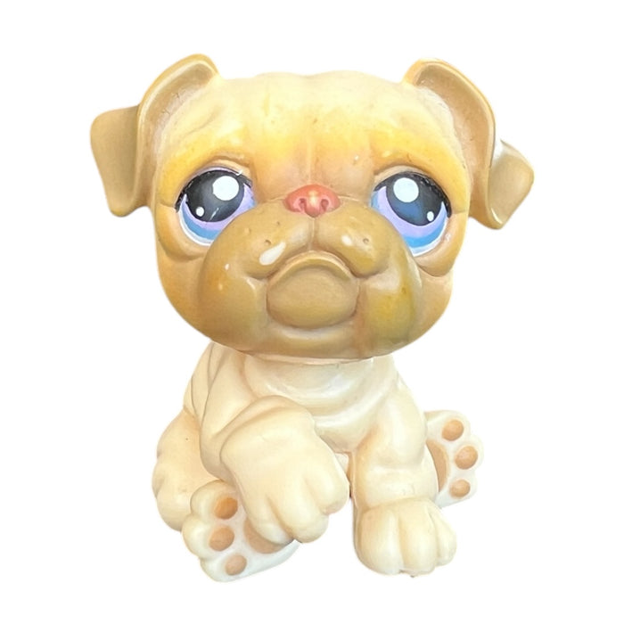 Littlest Petshop Bulldog #135