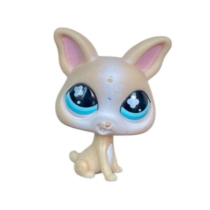 Littlest Petshop Chihuahua #837