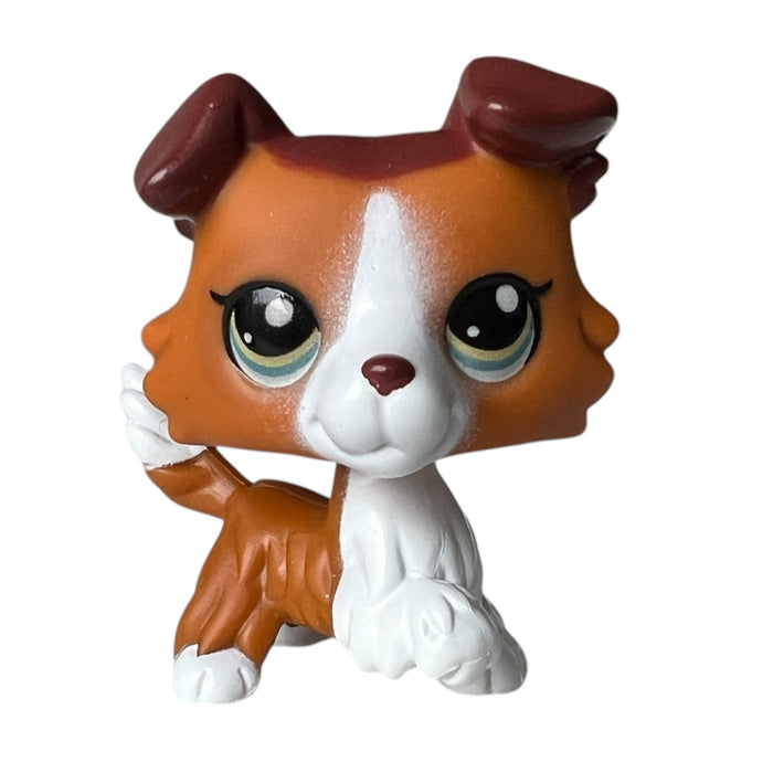 Littlest Petshop Collie koira #151
