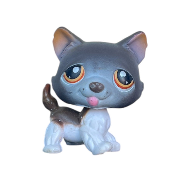 Littlest Petshop Husky koira #174
