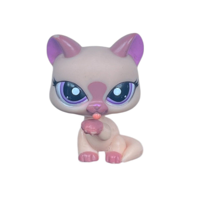 Littlest Petshop Kissa #1626