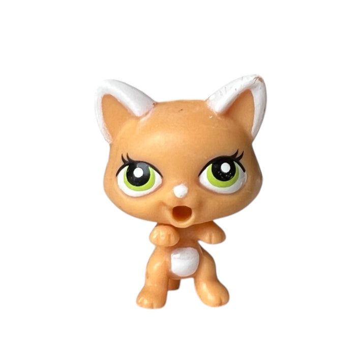 Littlest Petshop Kissa vauva #2492