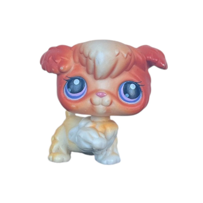 Littlest Petshop Villakoira #37