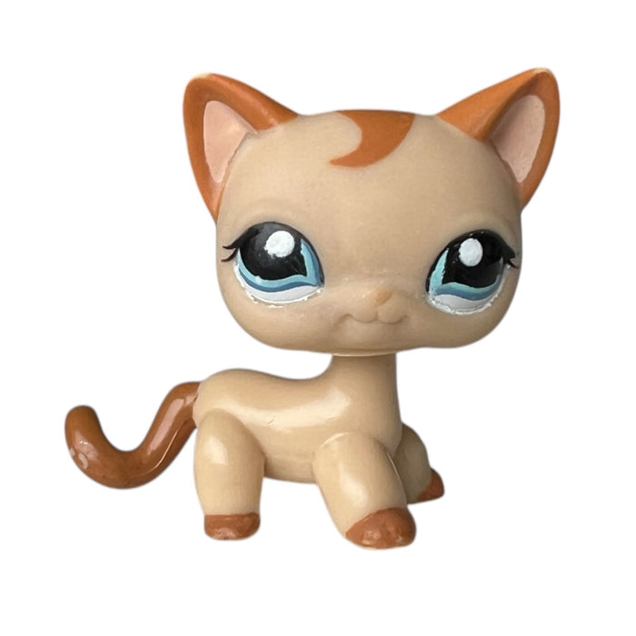 Littlest Petshop seisova Kissa #1023