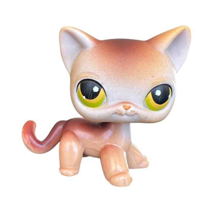 Littlest Petshop seisova Kissa #19