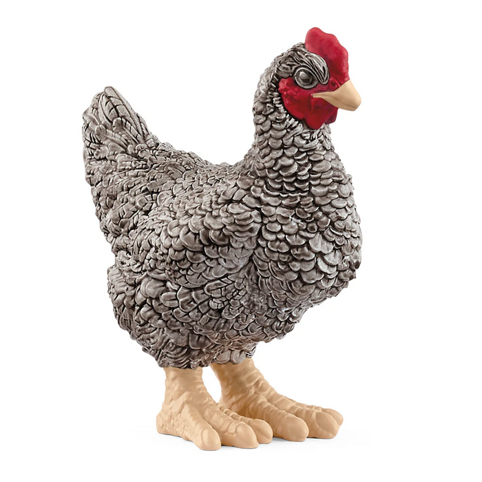 Schleich 13997 Plymouth Rock kana