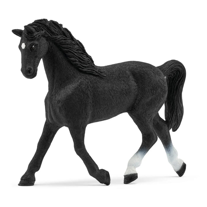 Schleich 72201 Holstein hevonen - Special edition!