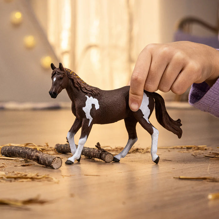 Schleich 14901 Paint hevonen, tamma