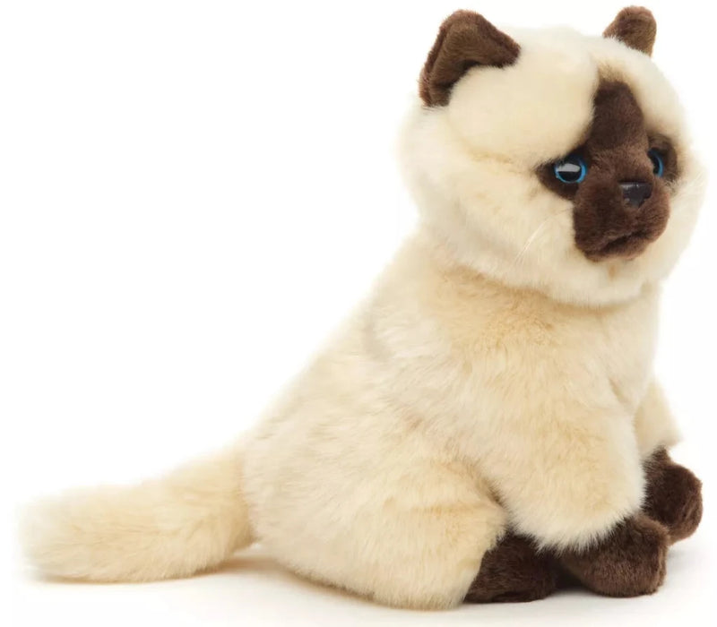 Siamilainen kissa pentu pehmolelu 21cm