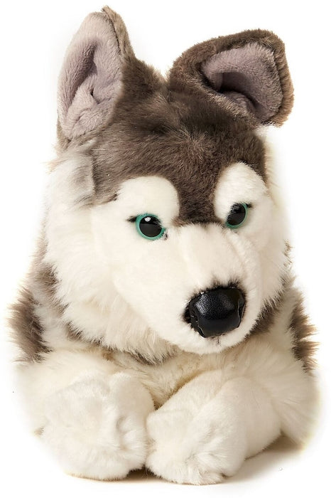 Husky koira pehmolelu 40cm