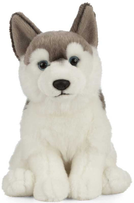 Living Nature Husky koira pentu pehmolelu 25cm