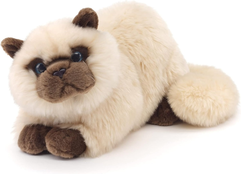 Persialainen / Siamilainen Kissa pehmolelu 31cm