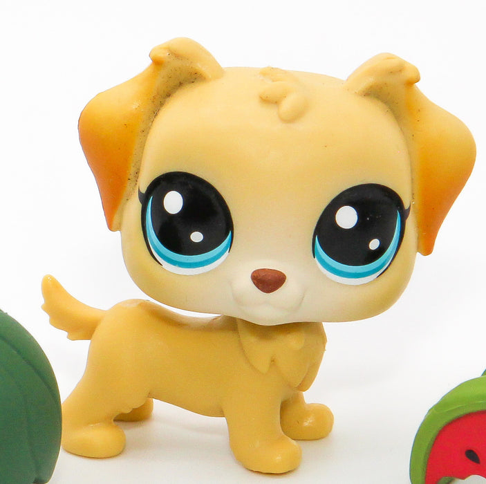 Littlest Petshop Kultainen noutaja #4-150