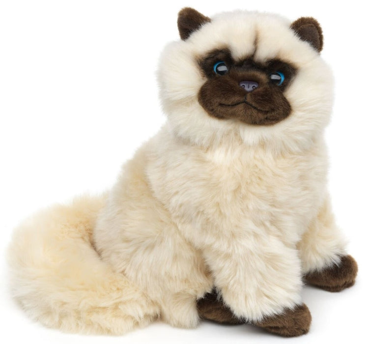 Persialainen / Siamilainen kissa pehmolelu 26cm