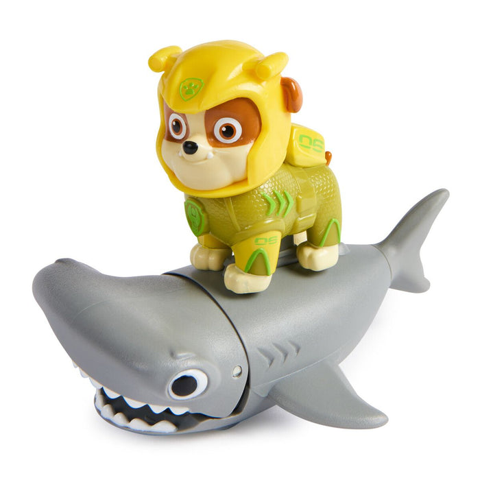 Ryhmä Hau Aqua pups Rolle ja vasarahai