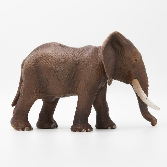 Schleich Afrikan Norsu, uros 14341 - Second Hand