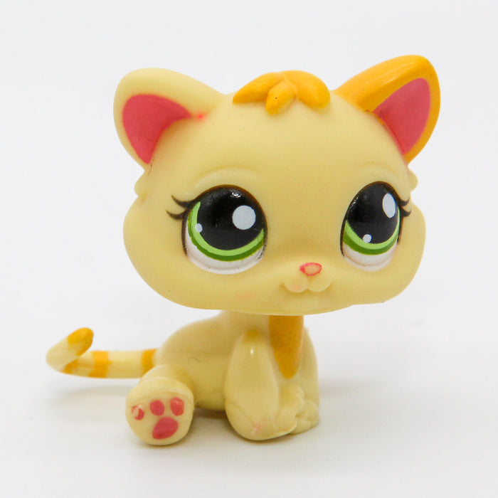 Littlest Petshop Kissa pentu #1649