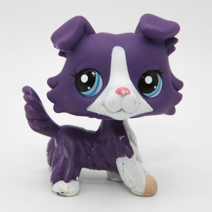 Littlest Petshop Collie koira #1676