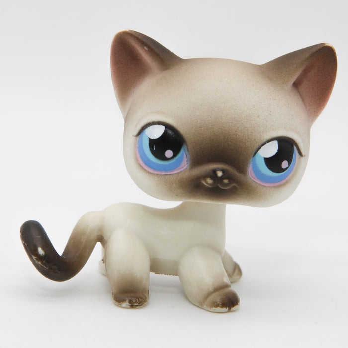 Littlest Petshop Siamilainen Kissa #5