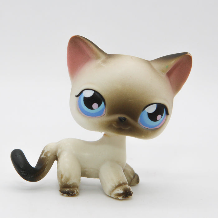 Littlest Petshop Siamilainen Kissa #5