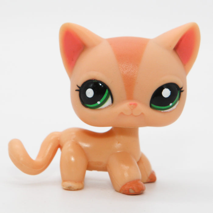 Littlest Petshop seisova Kissa #1764