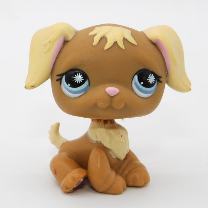 Littlest Petshop Kultainen noutaja #951