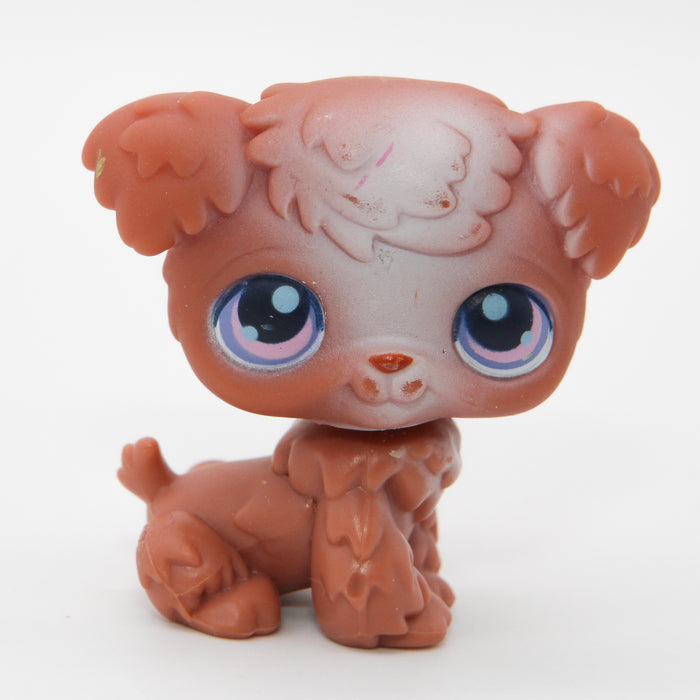 Littlest Petshop Villakoira #38