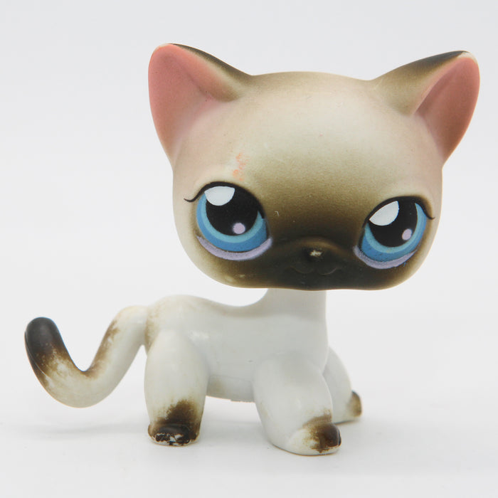 Littlest Petshop Siamilainen Kissa #5