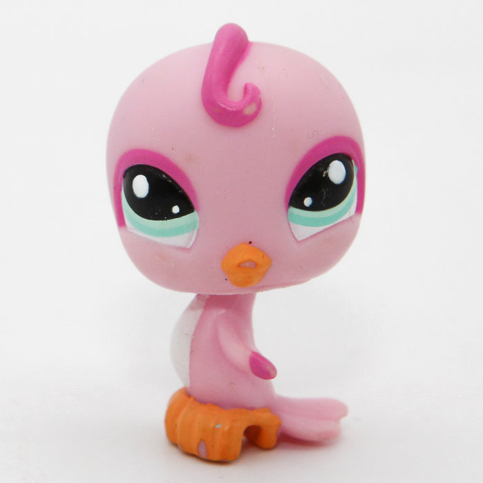Littlest Petshop Undulaatti #975