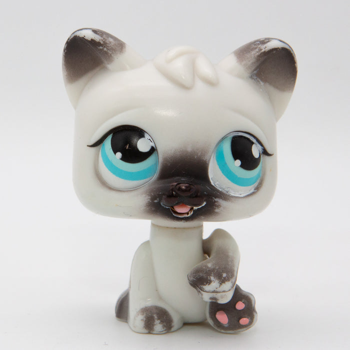 Littlest Petshop Kissa #PP1