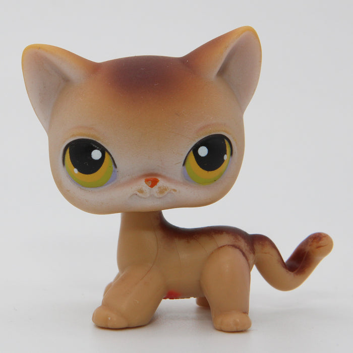 Littlest Petshop seisova Kissa #19