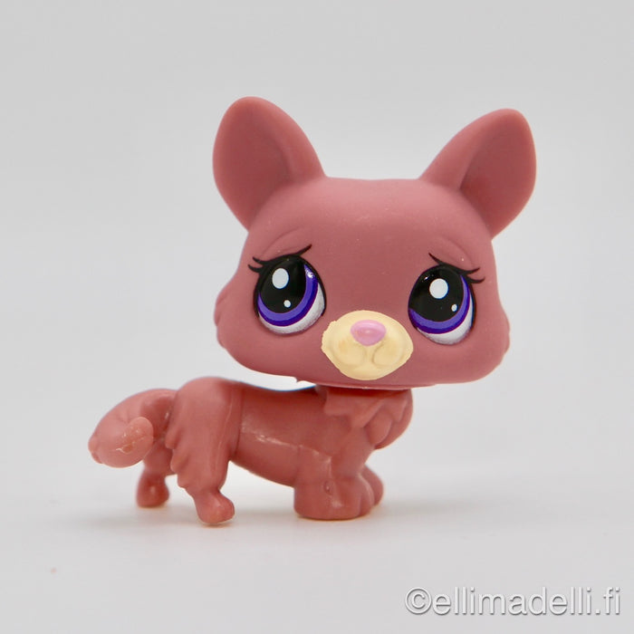 Littlest Petshop Corgi koira #1533