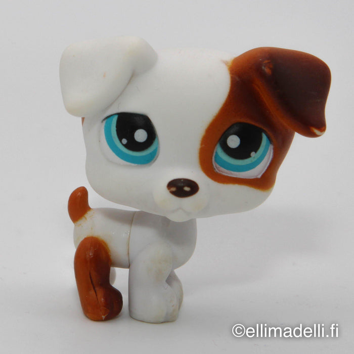 Littlest Petshop Jack Russell #151
