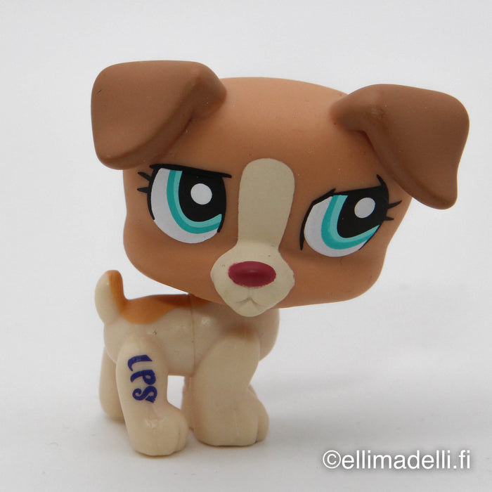 Littlest Petshop Jack Russell #1302