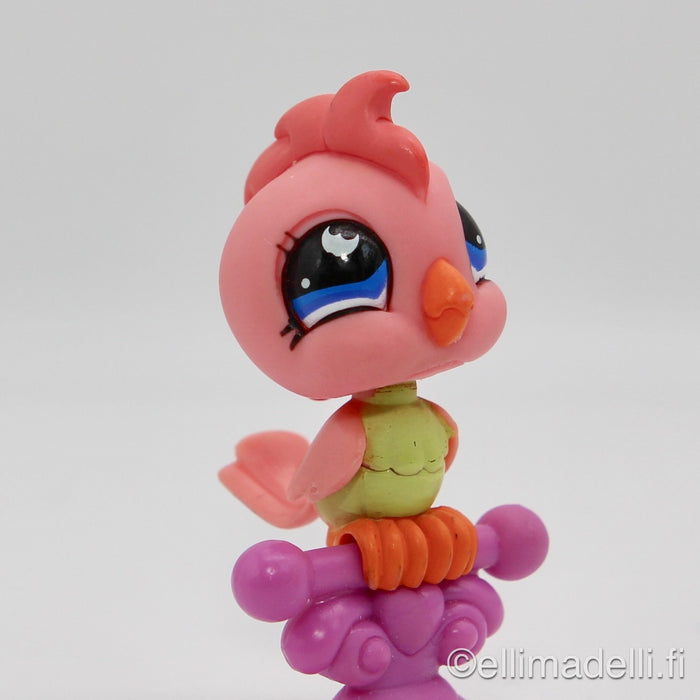 Littlest Petshop Kakadu lintu #854