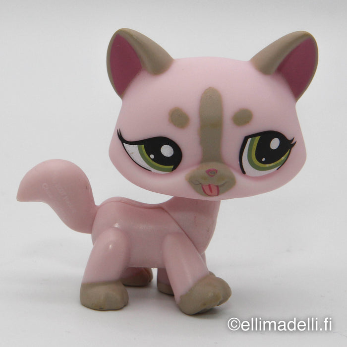 Littlest Petshop Kissa #1326