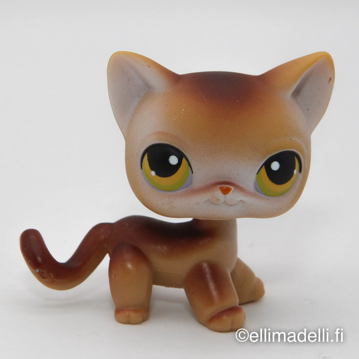 Littlest Petshop Kissa #19