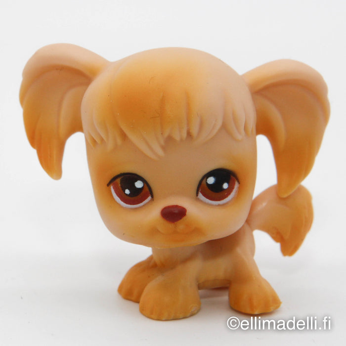 Littlest Petshop Spanieli koira #26