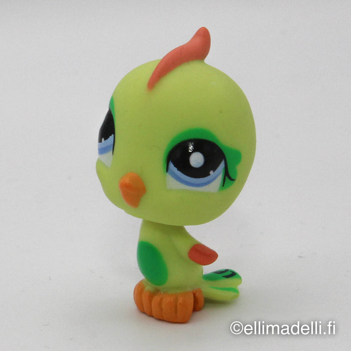Littlest Petshop Undulaatti #1824
