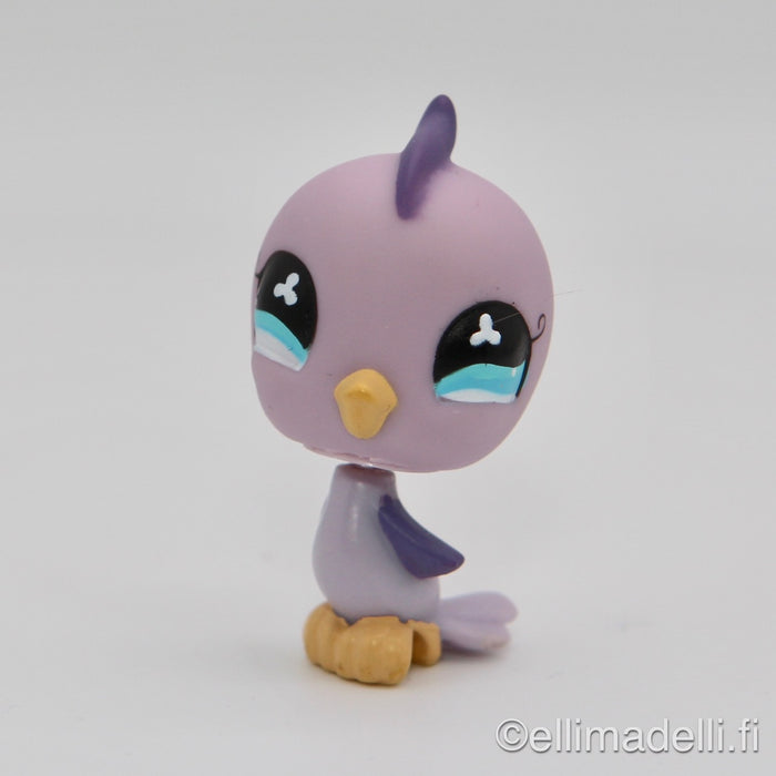 Littlest Petshop Undulaatti #no