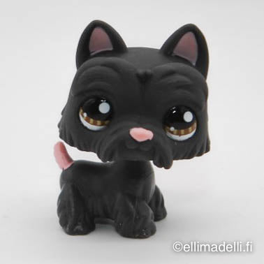 Littlest Petshop Ylämaanterrieri #1034 - Second Hand