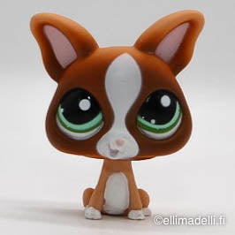Littlest Petshop Chihuahua Koira #1568