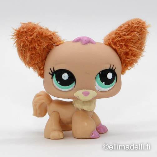 Littlest Petshop Chihuahua #2514 - Elli