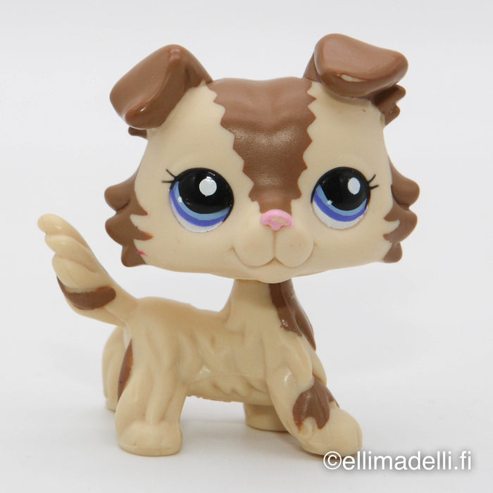 Littlest Petshop Collie koira #2210
